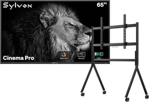 Complete Outdoor TV Buying Guide 2026