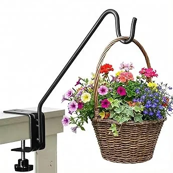 Complete Deck TV Buying Guide 2026