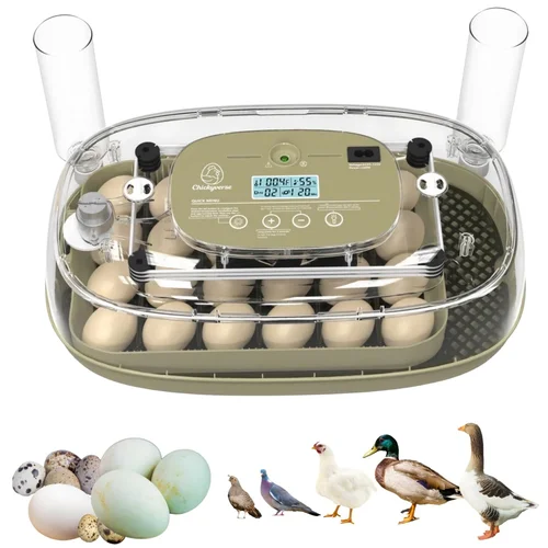 Egg Incubator For Hatching