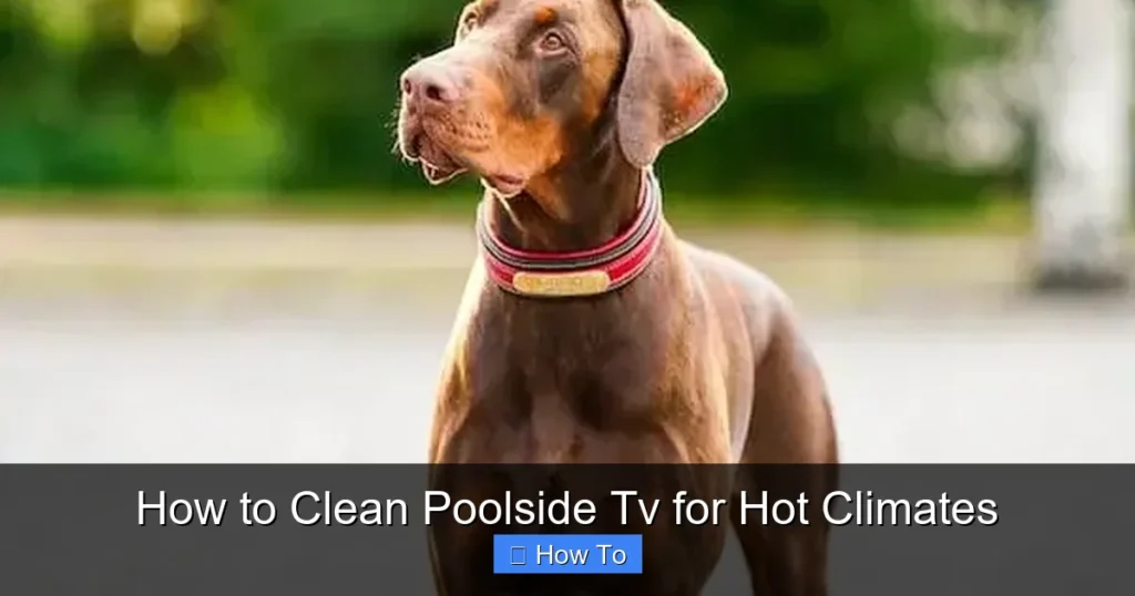 How to Clean Poolside Tv for Hot Climates