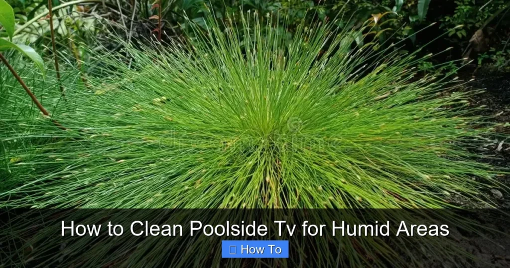How to Clean Poolside Tv for Humid Areas