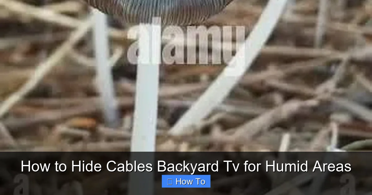 How to Hide Cables Backyard Tv for Humid Areas