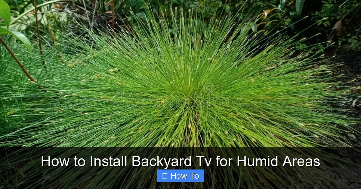 How to Install Backyard Tv for Humid Areas
